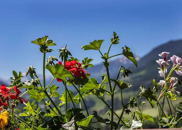 شقة Kienast Pfons