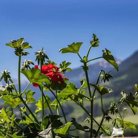 公寓 Kienast Pfons